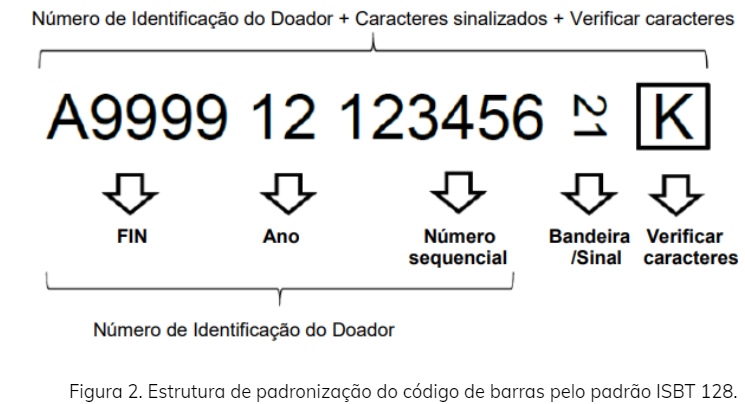 implementação-isbt-shiro2.png