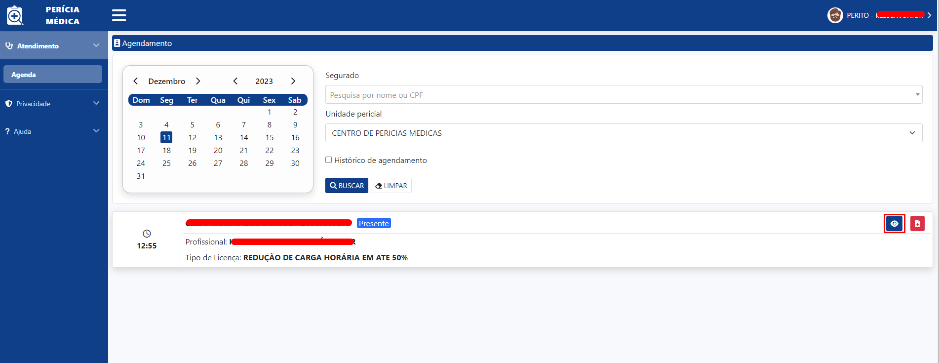 perito-visualizar.png