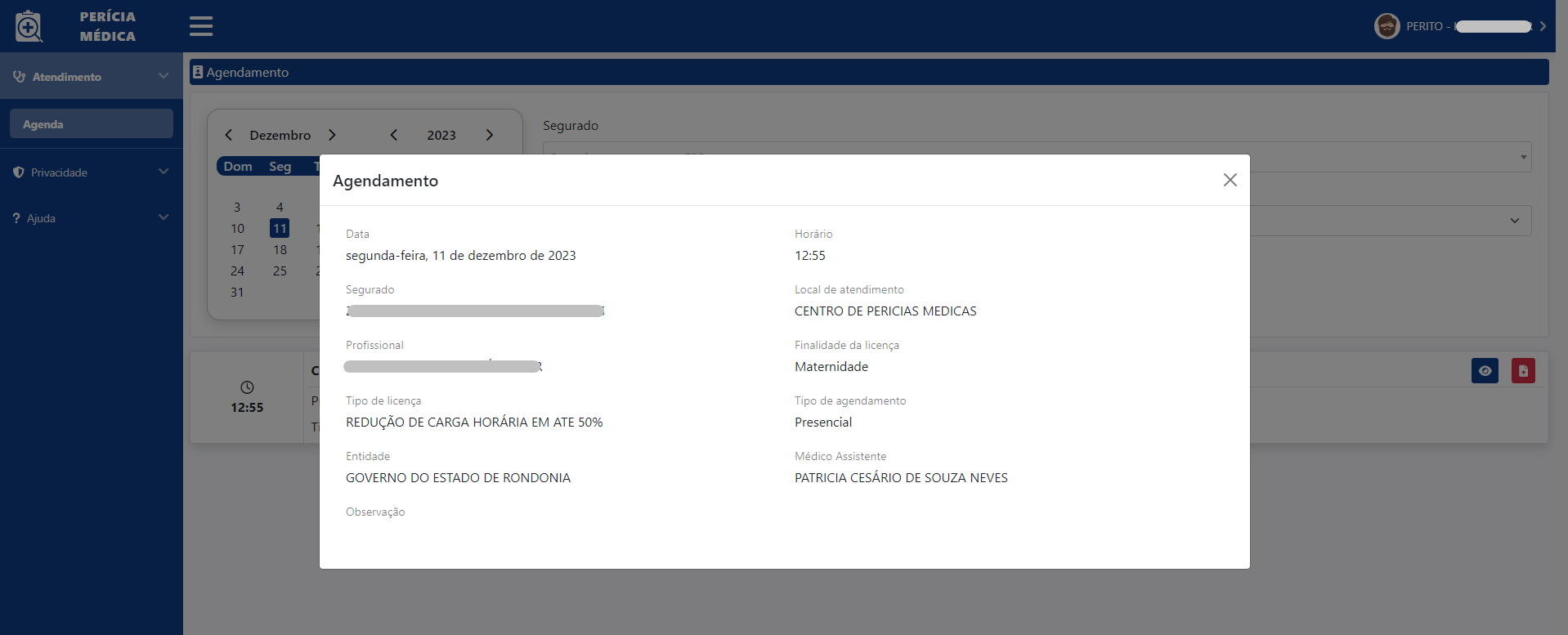 perito_visuzlizar_agendamento.png