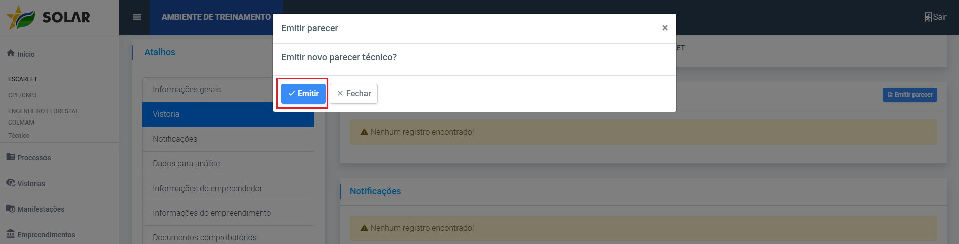 confirmacao_emissao_parecer.png